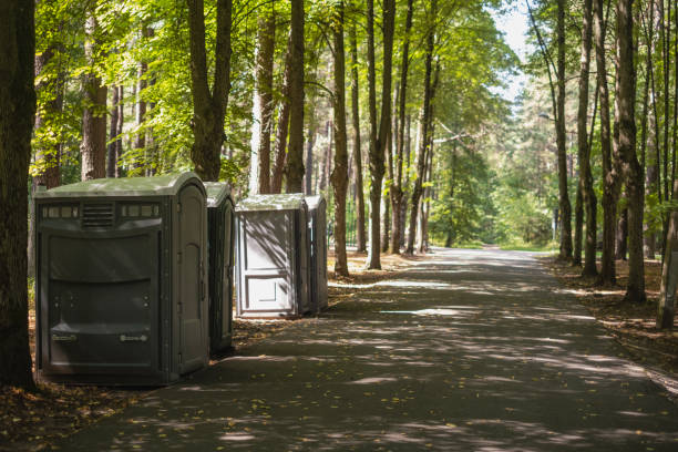 Best Affordable porta potty rental  in Pine Island, MN